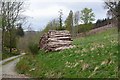 NT1637 : Timber stack, Stobo Estate by Jim Barton