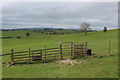 SD9253 : Pennine Way below Scaleber Hill by Chris Heaton