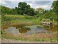 ST6170 : Callington Road dew pond by Neil Owen