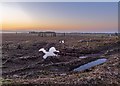 NH6433 : Clear-felled forestry at Clachandruim by valenta