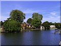 SU8586 : The River Thames in Marlow by Steve Daniels