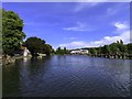 SU8586 : The River Thames in Marlow by Steve Daniels