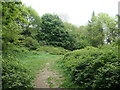 SE3219 : Clearing at the top of Lowe Hill, site of Wakefield Castle by Christine Johnstone