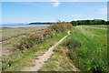 TM1832 : Towards Coppearas Bay by Glyn Baker