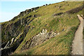 SX9250 : Coastal slope near Ivy Cove by Derek Harper