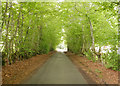 NH5052 : Beech avenue, Wester Urray by Craig Wallace