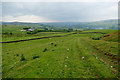 NZ0335 : Harehope from the Weardale Way by Andy Waddington