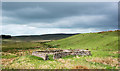 NY8218 : Sheepfold beside Deadman Gill - 2 by Trevor Littlewood