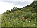 SP1704 : Rubble from former RAF Southrop NW site by Vieve Forward