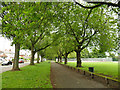 SE2632 : Path alongside Green Hill Lane, Wortley by Stephen Craven