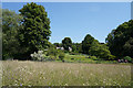 SP6771 : The meadow at Coton Manor by Malcolm Neal