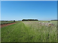 SP1811 : Bridleway alongside east side of former RAF Windrush by Vieve Forward