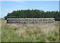 NY9583 : Sheepfold near Lunga Crags by Oliver Dixon