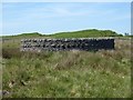 NY9583 : Sheepfold near Lunga Crags by Oliver Dixon