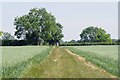  : Bridleway to Bailey Hills by Glyn Baker