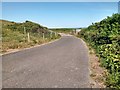 SZ0277 : Road in the region of Townsend Nature Reserve by Tim Marshall