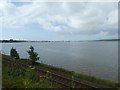 SX9980 : The Exe estuary, high tide, looking down river to Exmouth by David Smith