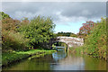 SJ8317 : Canal west of Church Eaton in Staffordshire by Roger  D Kidd