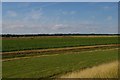 TM4350 : Town Marshes, Orford, from the river wall by Christopher Hilton