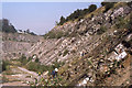 ST7282 : Barnhill Quarry in 1977 by Richard Sutcliffe