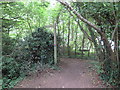 SU0597 : Footpath near South Cerney by Malc McDonald