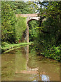 SJ6931 : Hollings Bridge in Woodseaves Cutting, Staffordshire by Roger  D Kidd