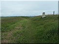 TA1774 : Headland Way passing a 135 metre clifftop trig point by Christine Johnstone