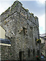 J1811 : Castles of Leinster: Carlingford, The Mint, Louth by Garry Dickinson