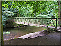 SD8511 : Footbridge Across The River Roch at Queen's Park by David Dixon