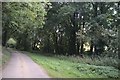 SK9920 : Trees near the stream by Bob Harvey