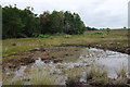 TF6721 : Restored wet heathland, Grimston Warren by Hugh Venables