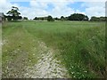 TA0570 : Field at Manor Farm, Thwing by Christine Johnstone