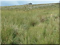 SD9722 : Public footpath waymarker, east of Red Dykes by Christine Johnstone