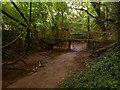 SK6953 : Footbridge in Westhorpe Dumble by Alan Murray-Rust