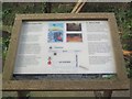 SH7980 : Information board at St. Mary's Well / Ffynnon Santes Fair, Llanrhos by Meirion