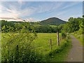 NH5129 : Path to Urquhart Bay Woods by valenta