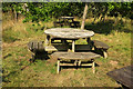 SX8078 : Picnic tables, Parke by Derek Harper