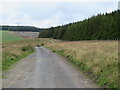 NT6965 : Forestry in the Lammermuir Hills by M J Richardson