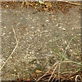 SK7252 : Rivet bench mark, Beck Dyke Bridge, New Road, Fiskerton by Alan Murray-Rust