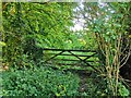 TQ5200 : Gated Entrance to Friton Forest, Westdean by PAUL FARMER