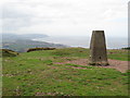 ST1240 : Beacon Hill trig point near Bicknoller by Malc McDonald