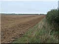 TF7539 : Bare field, east of the Docking - Choseley Road by Christine Johnstone