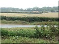 TF8241 : Public footpath on the track to Gallow Hill Farm by Christine Johnstone