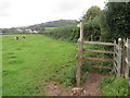 ST4254 : Public footpath, Axbridge by Malc McDonald