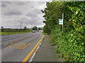 SD4584 : Bus Stop in a Layby on the A590 by David Dixon