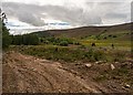 NH8624 : Forestry track at Black Mount by valenta