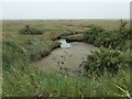 TF7344 : Animal tracks in the saltmarsh mud, Thornham by Christine Johnstone