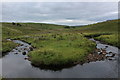  : Meander on Grisedale Beck by Chris Heaton