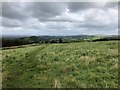 SJ9474 : Gritstone Trail near Brink by Philip Cornwall