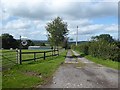 SO3628 : Driveway to Platch Farm by Oliver Dixon